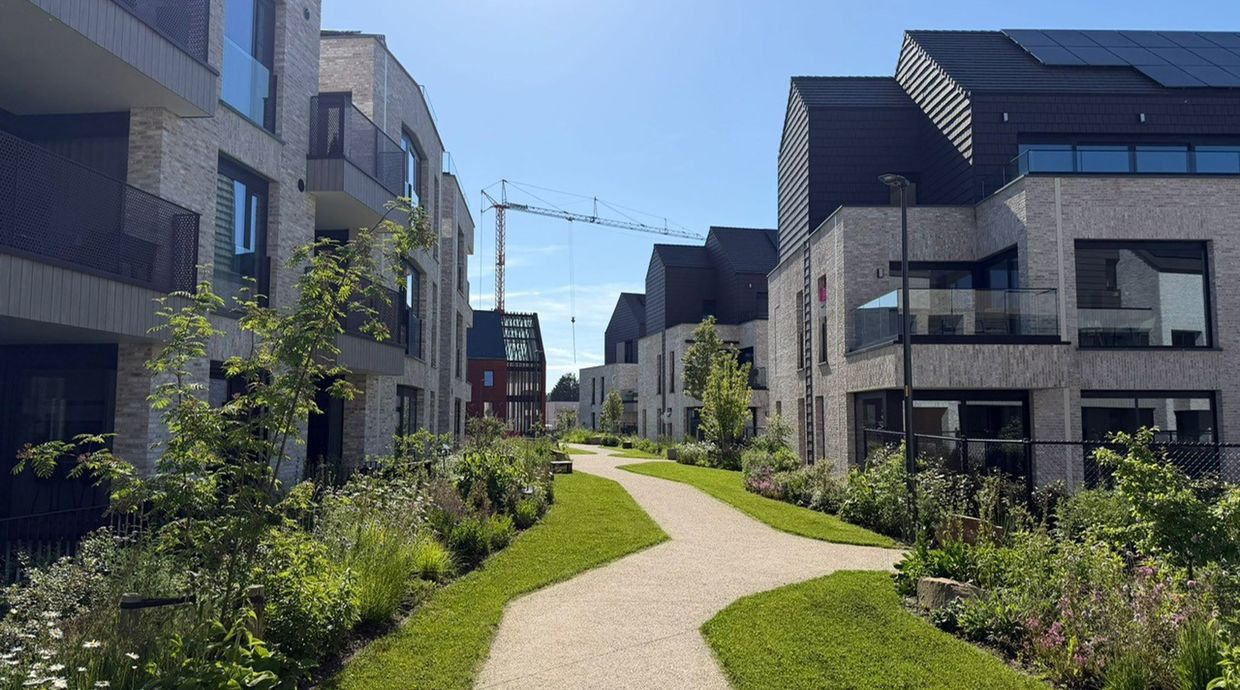 Penthouse te koop in Peer